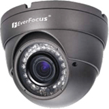 EverFocus EBD331e Surveillance Camera - Color