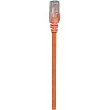 Intellinet RJ-45 Male / RJ-45 Male, 14 ft. (5.0 m), Orange