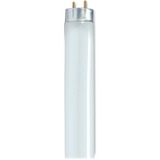 Satco 32-watt T8 Fluorescent Bulbs