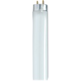 Satco 28-watt 48" T8 Fluorescent Tube