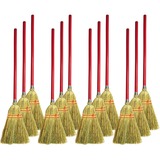 Genuine Joe Lobby Broom