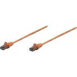 Intellinet Network Cable, Cat6, UTP