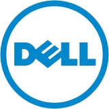 Dell-IMSourcing DS MS116P Mouse