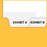 ALL-STATE LEGAL Avery Exhibit Dividers, Exhibit Alpha Collated