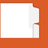 ALL-STATE LEGAL Blank, Side Tab