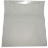 ALL-STATE LEGAL Gray Kraft Envelopes