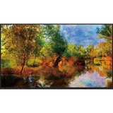 Sharp 8MB70AU 70" Class 8K Ultra-HD Professional LCD Monitor