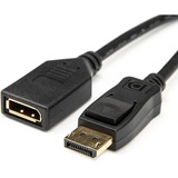 Rocstor 6ft DisplayPort Video Extension Cable