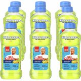 Mr. Clean Antibacterial Cleaner