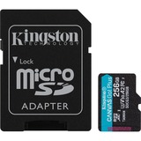 Kingston Canvas Go! Plus microSD Memory Card