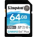 Kingston Canvas Go! Plus SD Memory Card