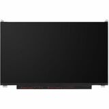 HP Notebook Screen
