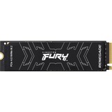 Kingston FURY RENEGADE SSD