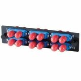 Ortronics Q Series OFP Adapter Panel 6 ST-Duplex (12 fibers) single mode single mode