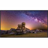 Sharp PN-P656 65" Wide Color Gamut Ultra High-Definition Professional Display