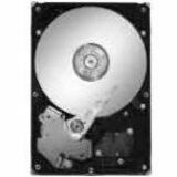 Seagate BarraCuda ST3250310AS 250 GB Hard Drive - 3.5" Internal - SATA (SATA/300)