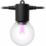 Philips Hue Festavia Globe Outdoor String Lights 45 ft