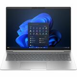 HP EliteBook 6 G1a 16" Notebook - AMD Ryzen 5 PRO Ryzen PRO 200 Series 230 - 8 GB - 512 GB SSD
