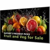 Philips Signage Solutions 5000 86BDL5050D Digital Signage Display