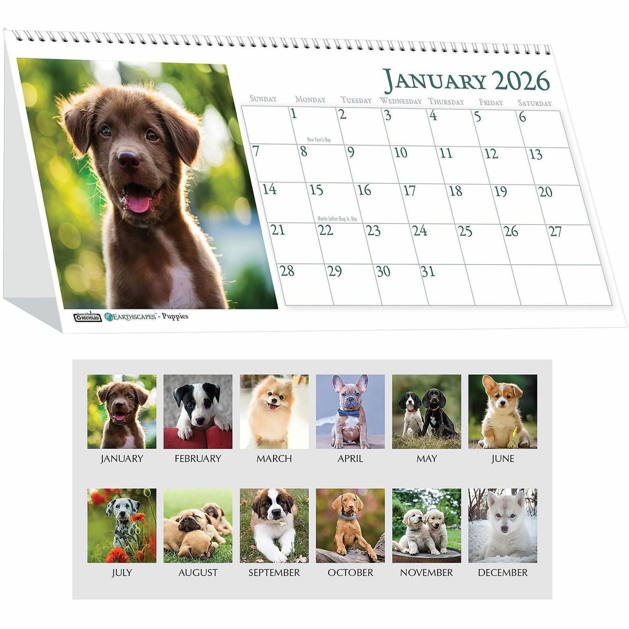 House of Doolittle Puppies Desktop Tent Calendar