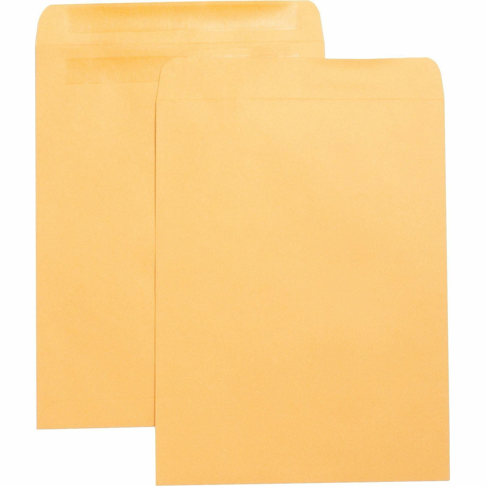HOME :: Office Supplies :: Envelopes & Forms :: Envelopes :: Large ...