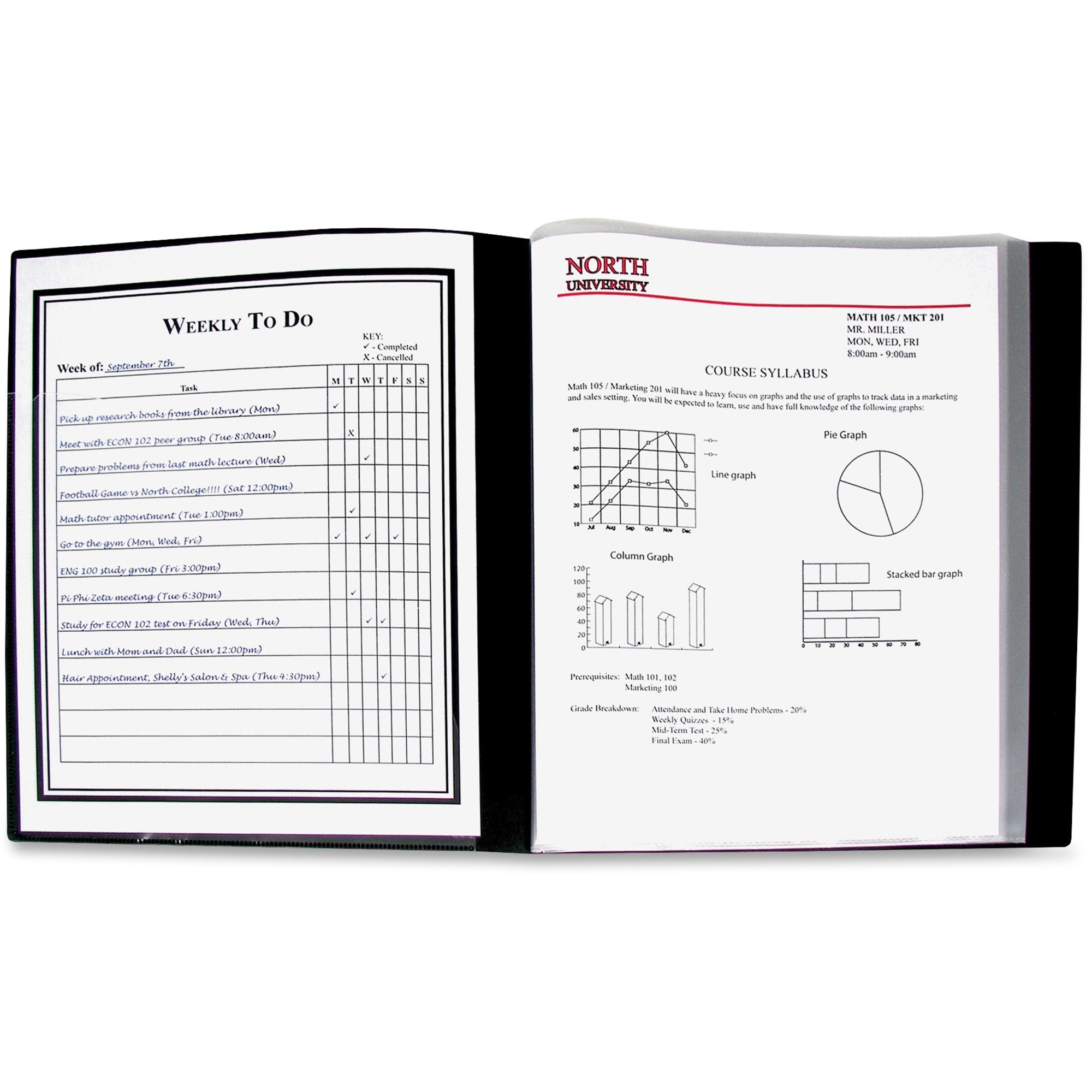 Cline 24Pocket Bound Sheet Protector Presentation Book, Black, 33240