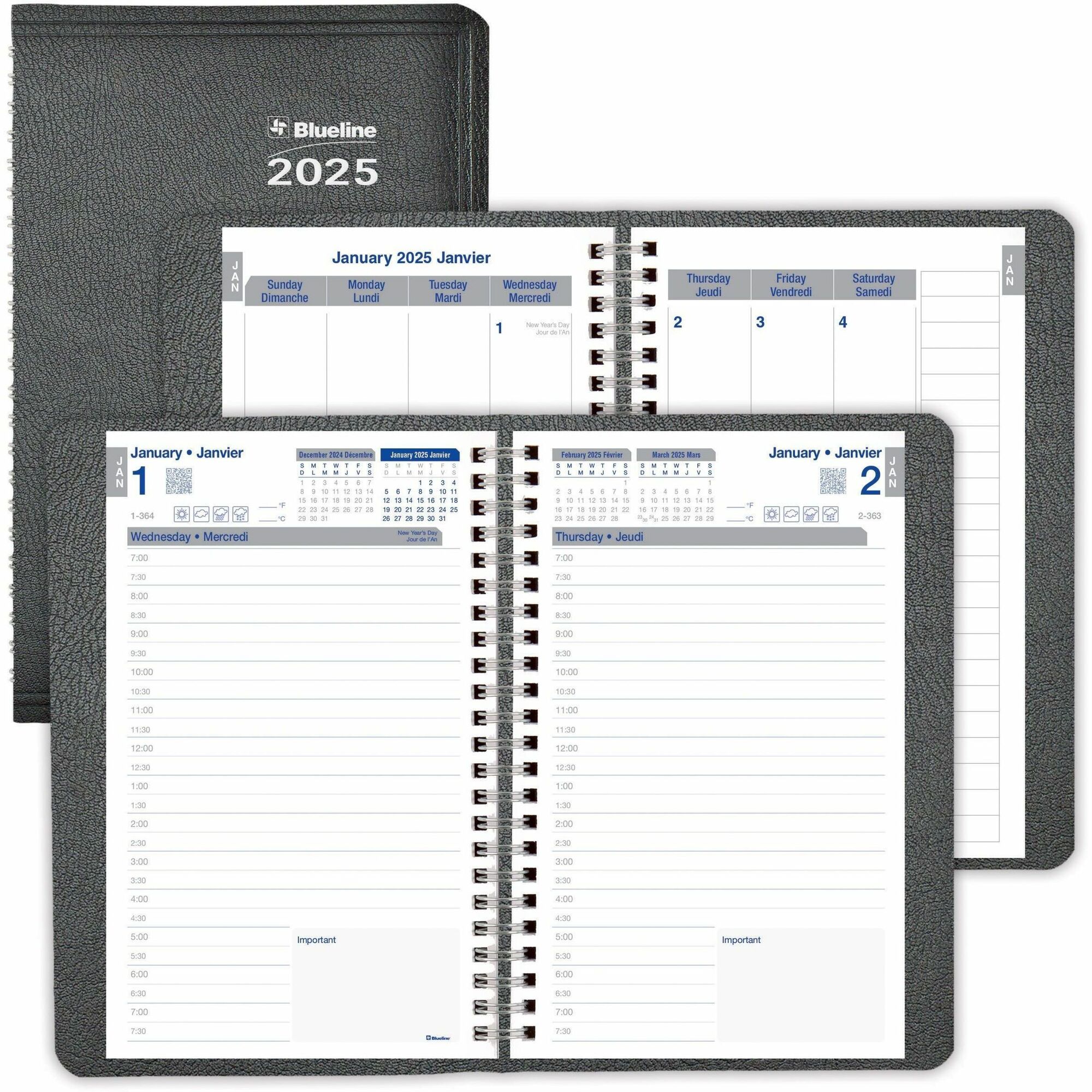blueline planner plus daily diary
