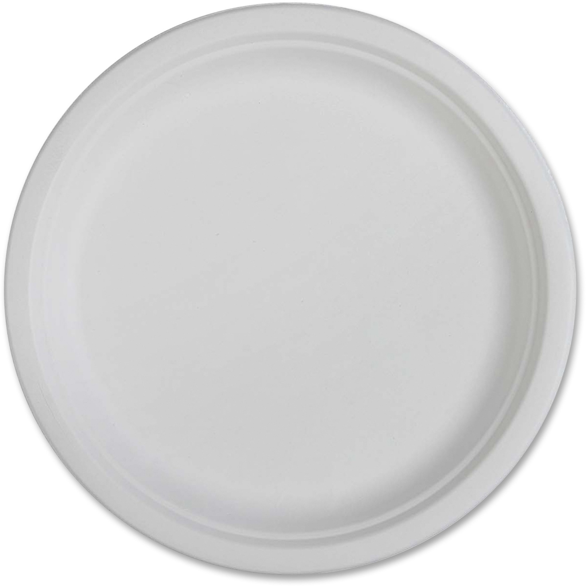 Genuine Joe Disposable Plates 10" (254 mm) Diameter Plate