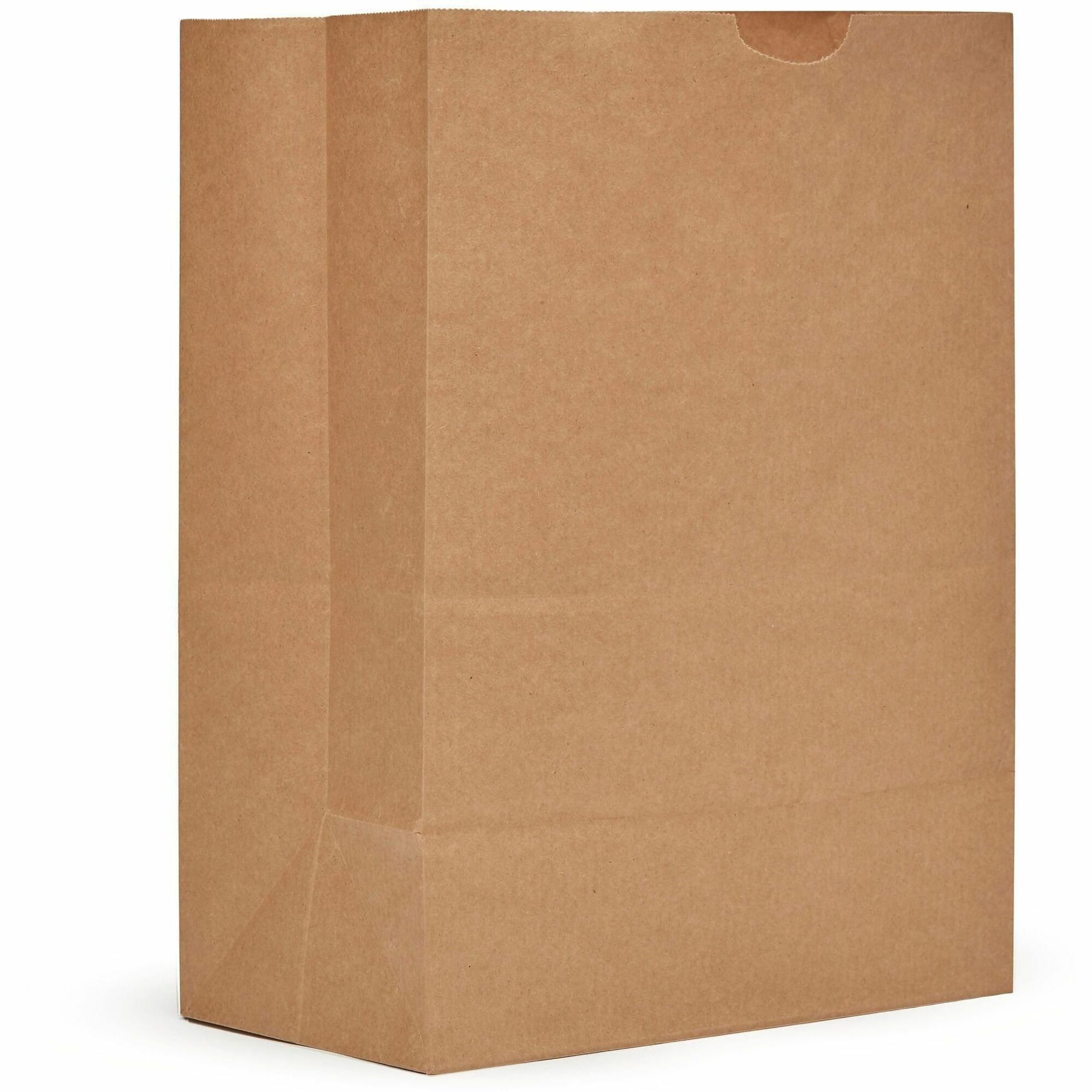 AJM Paper Grocery Bags