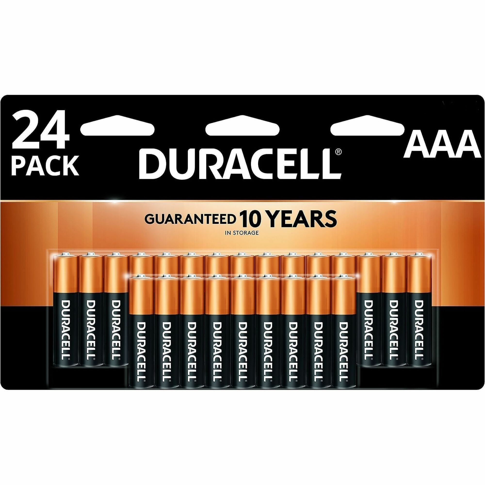 Duracell CopperTop Alkaline AAA Batteries