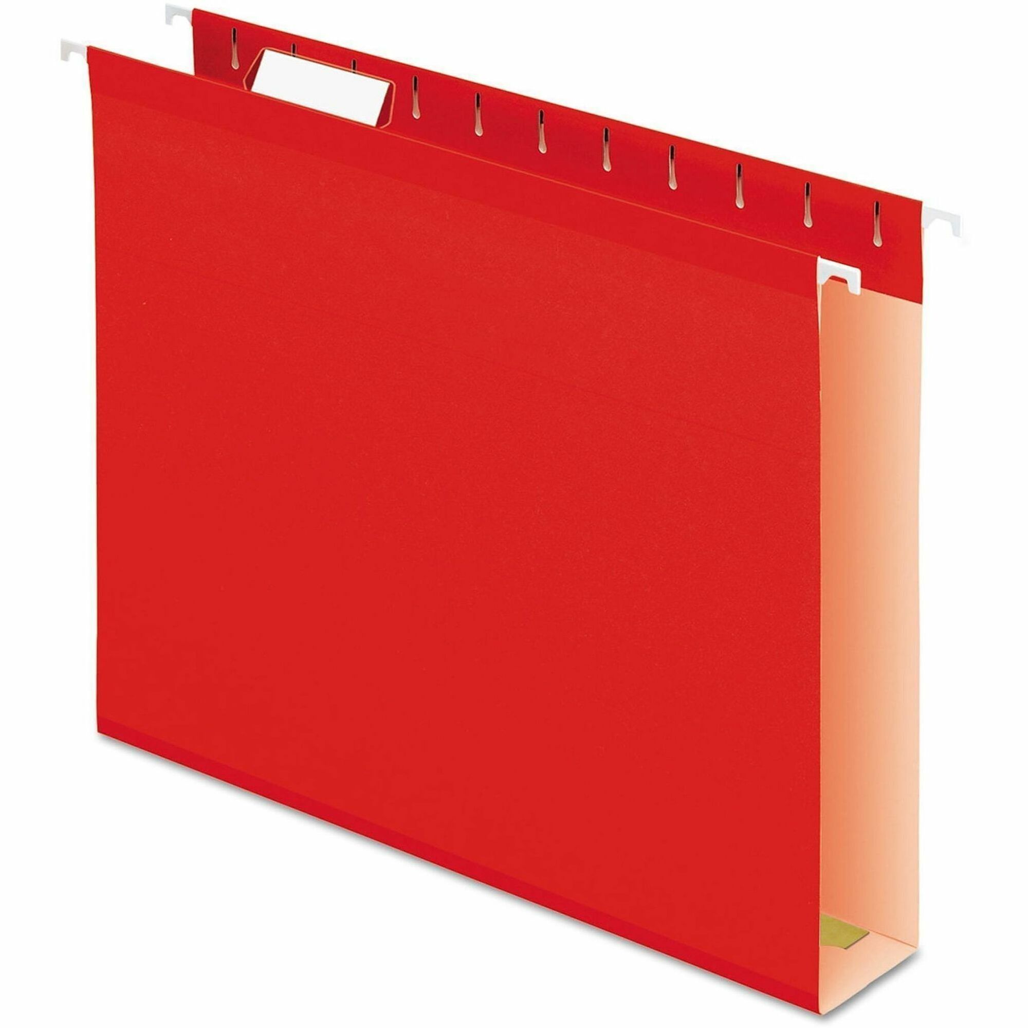 Pendaflex Letter Hanging Folder