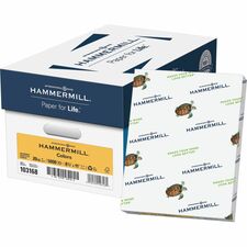 Hammermill Colors Recycled Copy Paper - Gold - Letter - 8 1/2" x 11" - 20 lb Basis Weight - Smooth - 500 / Ream - Sustainable Forestry Initiative (SFI) - Archival-safe, Acid-free, Jam-free - Gold