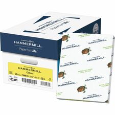 Hammermill Colors Recycled Copy Paper - Canary - Letter - 8 1/2" x 11" - 20 lb Basis Weight - Smooth - 500 / Ream - Sustainable Forestry Initiative (SFI) - Acid-free, Archival-safe, Jam-free - Canary