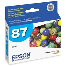 Epson T087220 Ink Cartridge