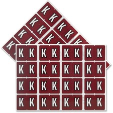 Pendaflex PFX06611 Color Coded Label