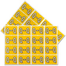 Pendaflex PFX06618 Color Coded Label