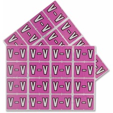 Pendaflex PFX06623 Color Coded Label