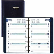 Blueline BLIC510082BTX Appointment Book