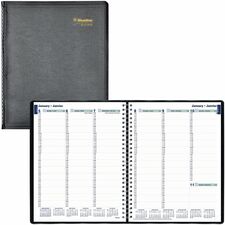 Blueline BLIC595081BT Appointment Book