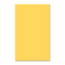 EarthChoice Colors Multipurpose Paper - Goldenrod - Legal - 8 1/2" x 14" - 20 lb Basis Weight - Smooth - 500 / Ream - Acid-free