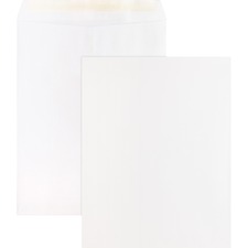 Business Source BSN65451 Envelope