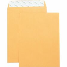 Business Source BSN42120 Envelope