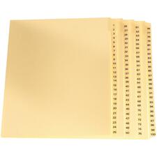 Oxford ESSL213100 Index Divider