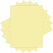 Domtar Colors Multipurpose Paper - 97% Opacity - Letter - 8 1/2" x 11" - 67 lb Basis Weight - Vellum - 250 / Pack - Acid-free, Archival-safe - Canary