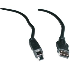 Exponent Microport USB Cable - 6 ft USB Data Transfer Cable - Type A Male USB - Type A Female USB - 1 Each