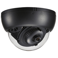 EverFocus Ultra Surveillance Camera - Color, Monochrome