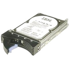 IBM - Ingram Certified Pre-Owned 43X0825 146 GB Hard Drive - 2.5" Internal - SAS (3Gb/s SAS)