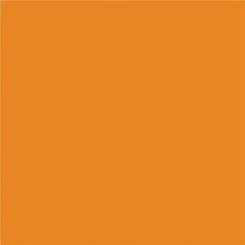 NAPP Construction Paper - Construction - 12" (304.80 mm)Height x 9" (228.60 mm)Width - 48 / Pack - Orange