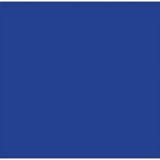 NAPP Construction Paper - Construction - 18" (457.20 mm)Height x 12" (304.80 mm)Width - 48 / Pack - Dark Blue