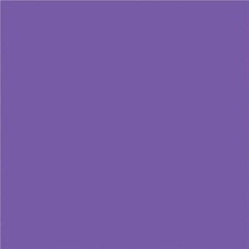 NAPP Construction Paper - Construction - 18" (457.20 mm)Height x 12" (304.80 mm)Width - 48 / Pack - Violet